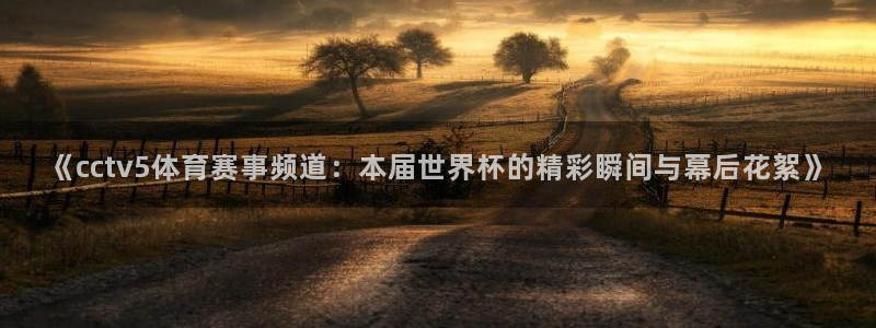 山猫足球直播体育免费观看：《cctv5体育赛事频道：本届世界杯的精彩瞬间与幕后花絮》