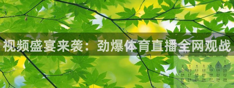 山猫体育赛事在线直播视频：视频盛宴来袭：劲爆体育直播全网观战