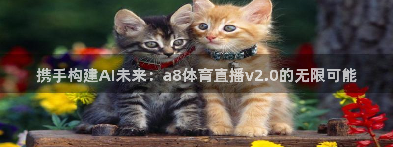 山猫体育赛事直播官网：携手构建AI未来：a8体育直播v2.0的无限可能