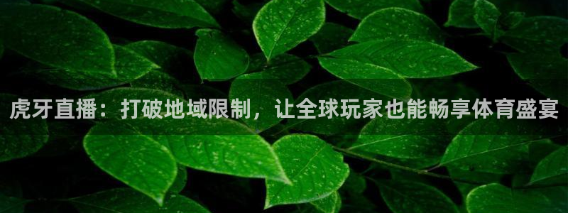 山猫篮球体育直播：虎牙直播：打破地域限制，让全球玩家也能畅享体育盛宴