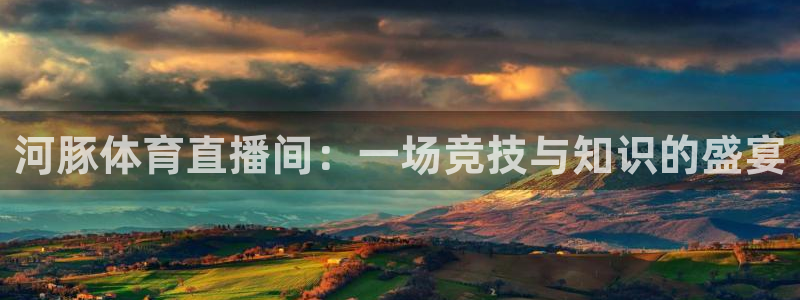 山猫体育免费看：河豚体育直播间：一场竞技与知识的盛宴