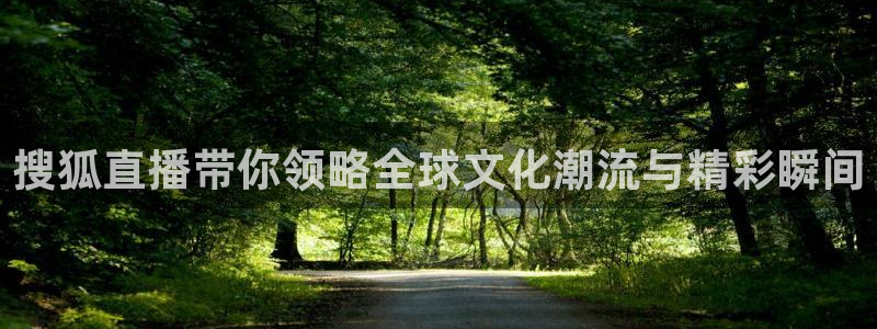 山猫直播足球在线观看视频：搜狐直播带你领略全球文化潮流与精彩瞬间
