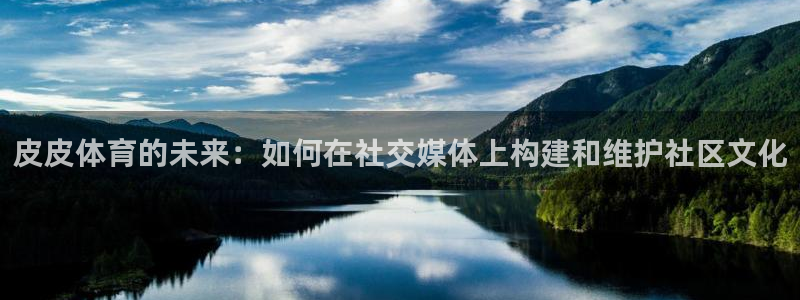 山猫 体育：皮皮体育的未来：如何在社交媒体上构建和维护社区文化
