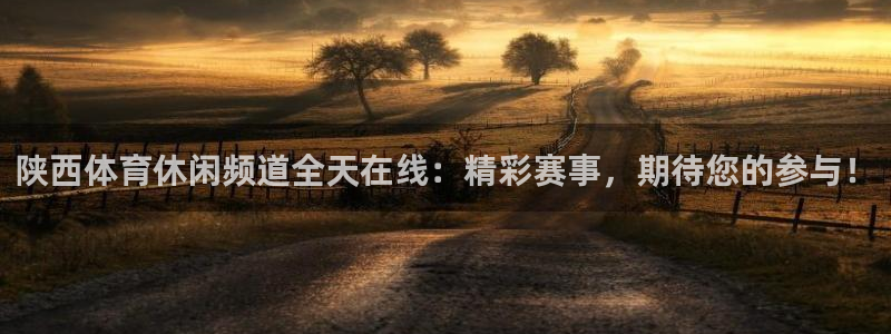 山猫足球直播间：陕西体育休闲频道全天在线：精彩赛事，期待您的参与！