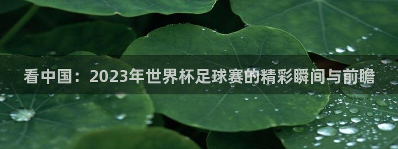 山猫nba直播免费观看：看中国：2023年世界杯足球赛的精彩瞬间与前瞻