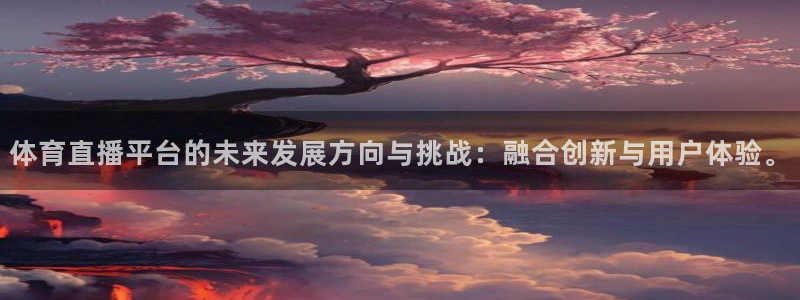 山猫直播篮球：体育直播平台的未来发展方向与挑战：融合创新与用户体验。